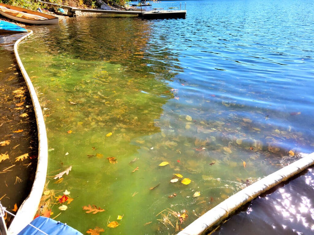 APODS at work on White Pond. - Courtesy photos