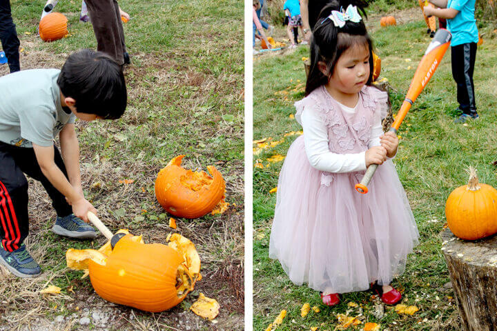 Pumpkin Smash