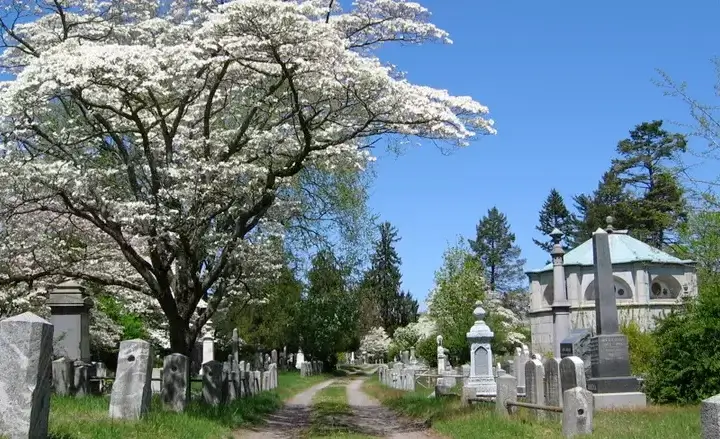 Sleepy Hollow Cemetery