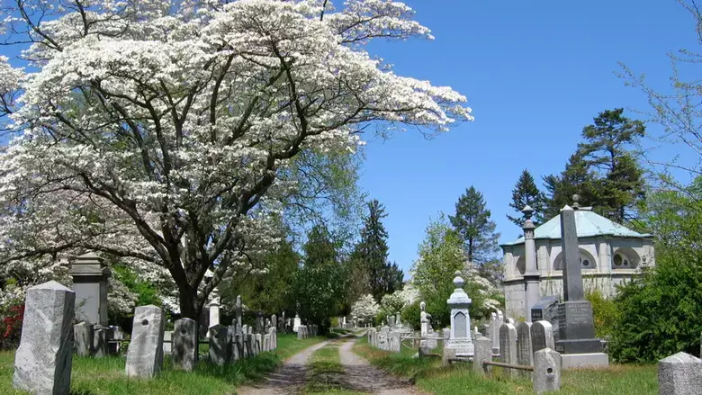 Sleepy Hollow Cemetery